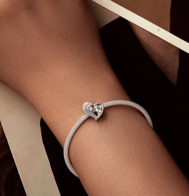 Silver Pet Charm