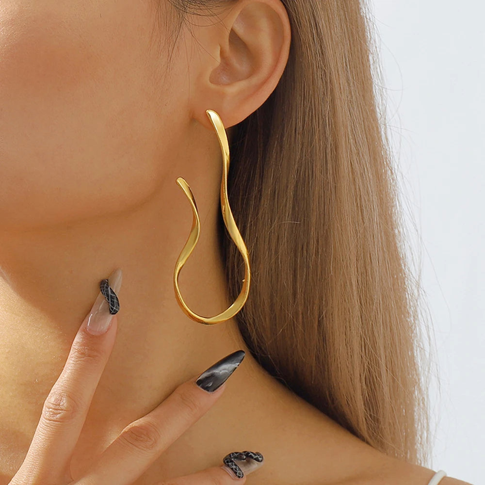 Irregular Lines Dangle Earrings