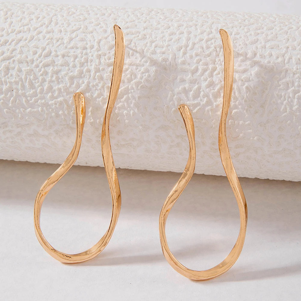 Irregular Lines Dangle Earrings