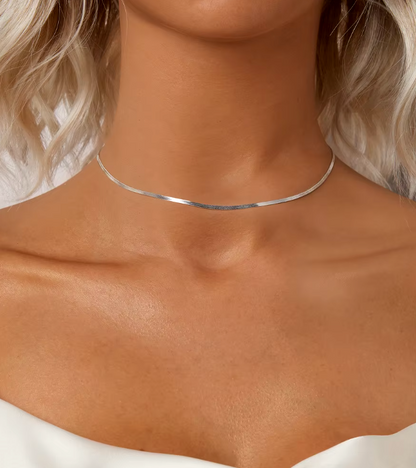 Silver Dainty Choker Necklace